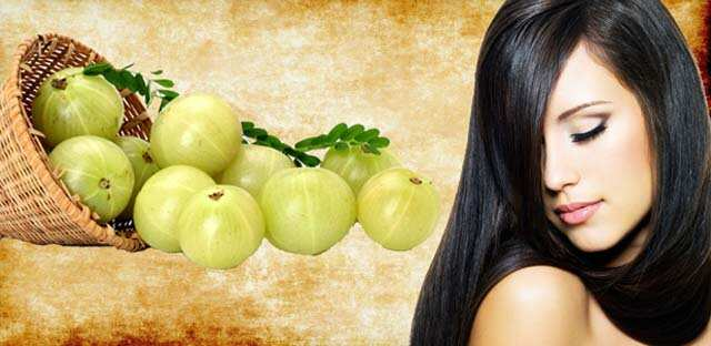 முடி உதிர்வை தடுக்க உதவும் நெல்லிக்காய்.
