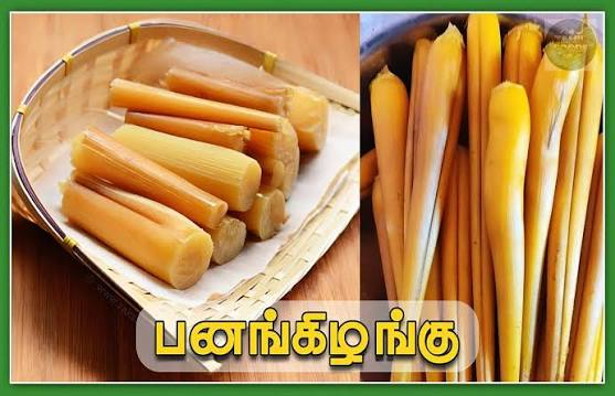 பனங்கிழங்கின் பயன்கள் தெரியுமா?